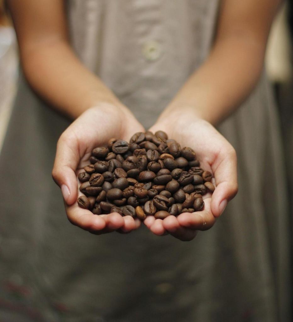 sustainably sourced coffee beans 